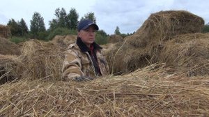 Как составить рацион для лошади