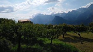 Suisse Switzerland Valais Швейцария Кантон Вале Швейцарские горы Абрикосы  Les montagnes Mountains