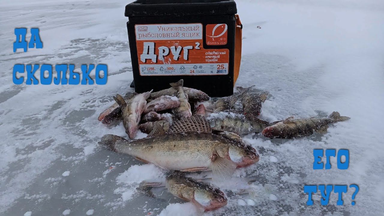 СУДАК НЕ ДАЁТ ОПУСТИТЬ БЛЕСНУ | ЛОВЛЯ СУДАКА ЗИМОЙ НА БЛЕСНУ С ПОДСАДКОЙ ТЮЛЬКИ | ЗИМНЯЯ РЫБАЛКА | смотреть онлайн