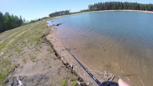 Мультипликаторная катушка SHIMANO Bass One XT 2017 первое впечатление