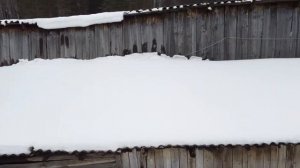 Рабство девушек . В Сибирской глубинке.