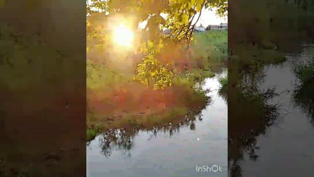 #Эта женщина в окне#Любимые песни,хорошие фильмы,замечательная актриса #🤗 смотреть онлайн