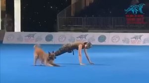 танцы с собакой. Класс