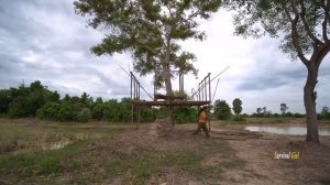 Survival Girl Camping Living Alone Can Build The Most Wood Tree House with Kitchen by Ancient Skill