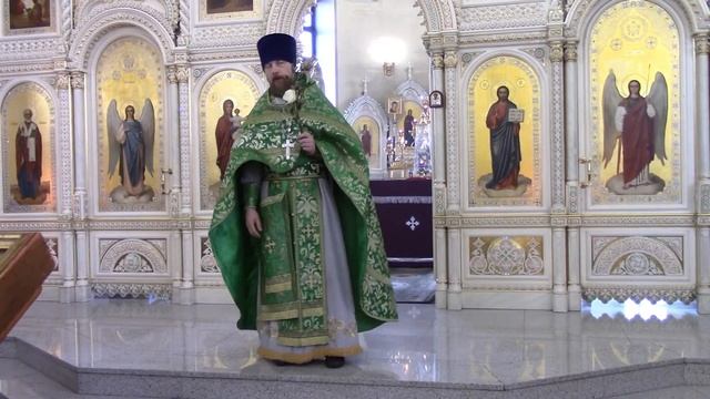 Вход Господень во Иерусалим. Проповедь по прочтении Евангелия смотреть онлайн