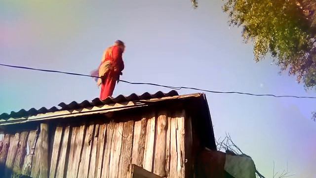 11 декабря 2018 г.Музыка:Время иСтекло"Наверно потому что"! смотреть онлайн