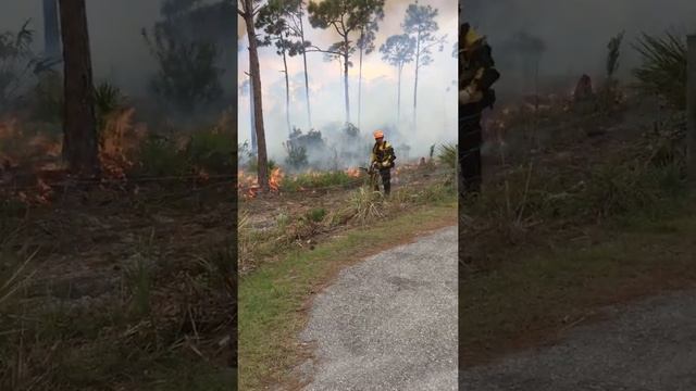 Controlled Burn-1