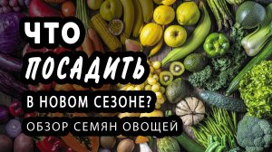 Что посадить в 2022 году? Обзор новинок овощных культур