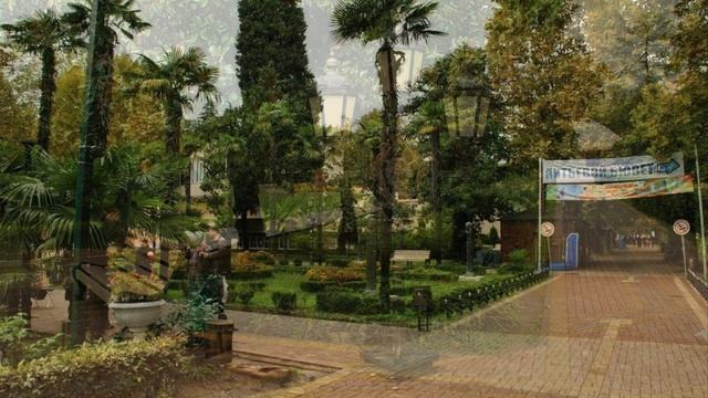 Достопримечательности Сочи зима. Куда пойти или поехать