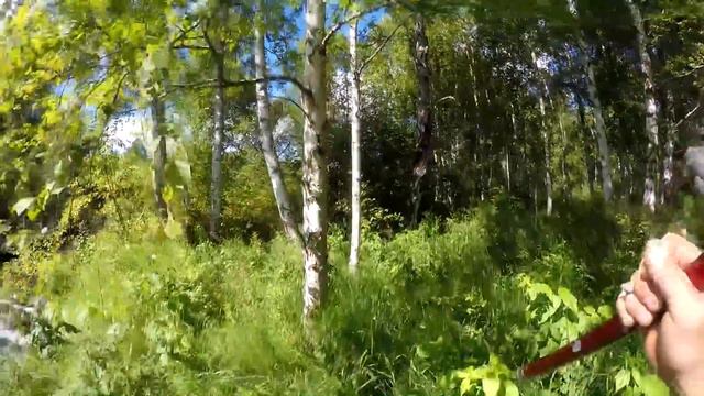 ЛОВЛЯ - РЫБАЛКА на ХАРИУСА , к ПОТАПЫЧУ на р.БЕРЕШ. смотреть онлайн