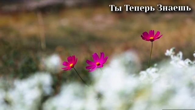 5 Июня День Святого Духа. Народные приметы, обычаи, запреты и суеверия.