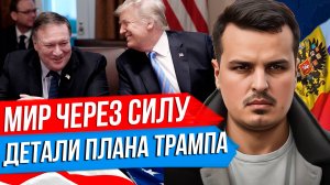 МИР ЧЕРЕЗ СИЛУ. ДЕТАЛИ МИРНОГО ПЛАНА ТРАМПА. УСТРОИТ ЛИ ЭТО РОССИЮ?