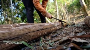Alone In The Forest Building A Log Cabin | Migrate and Build a new life here
