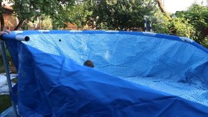 Бассейн INTEX: сборка, установка фильтра и нагревателя