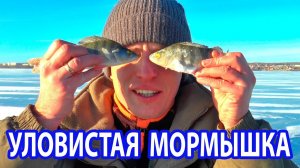 УБИЙЦА ОКУНЯ моя МОРМЫШКА.  Ловля Окуня  зимой по ПЕРВОМУ ЛЬДУ.