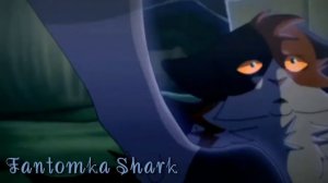 Воробей | Коты Воители | Клип | Верю в лучшее