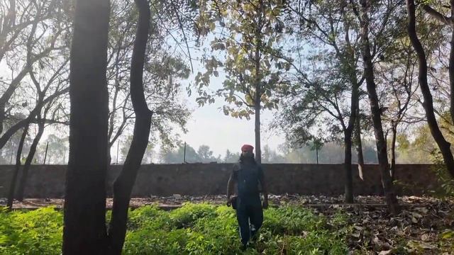 Search dog with bark alert + stay at the source ( without making contact with the 'missing' person смотреть онлайн