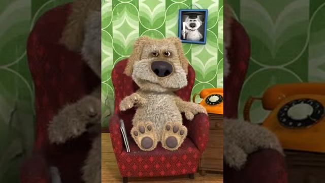 A lonely yet aggressive game of peekaboo смотреть онлайн