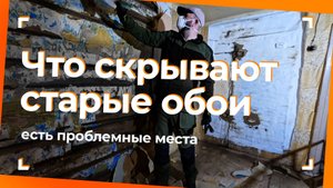 БРЕВНА СГНИЛИ: что скрывается в стенах старого дома?