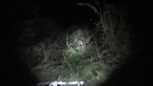 Nocna jazda Yamaha Grizzly test oświetlenia led