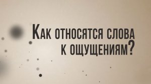 ID ST8001 Rus 33. Философские исследования. Как относятся слова к ощущениям