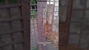 делаем собаку злой