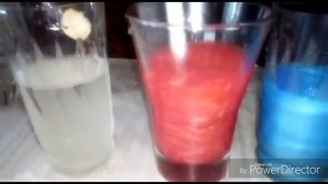 Опыты с цветами! Как покрасить цветы!?