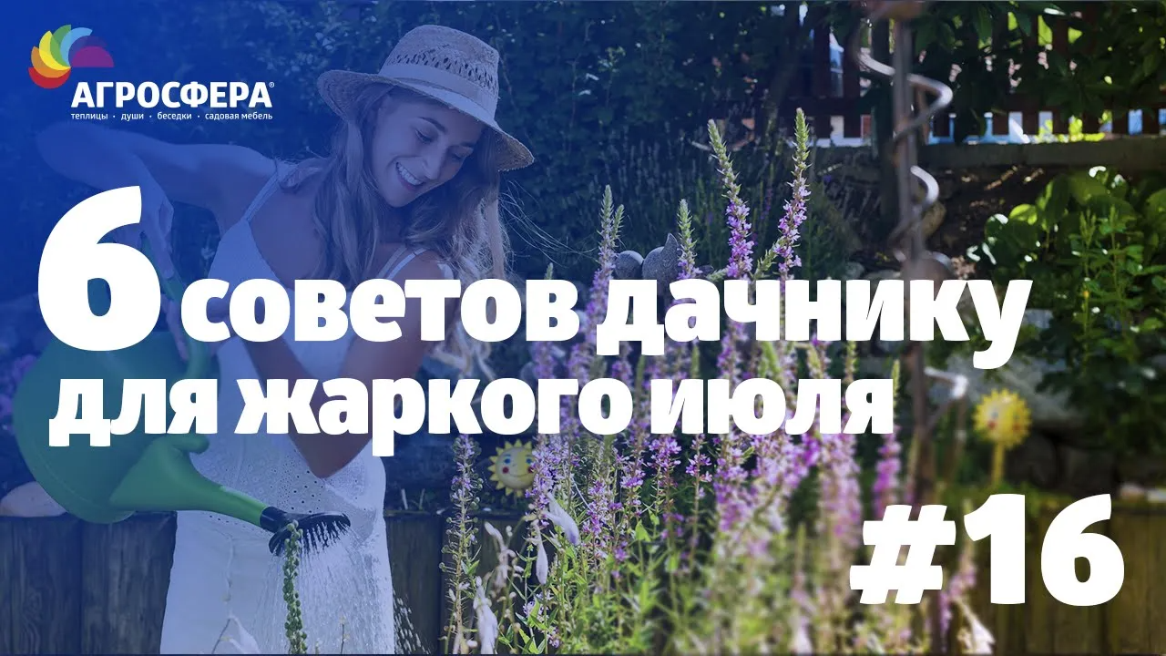 Советы для дачи и сада #16 - рекомендации для дачи и сада на июль / агросфера.рф смотреть онлайн