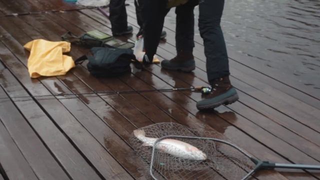 Кубок генерального директора клуба "Золотой Сазан" смотреть онлайн