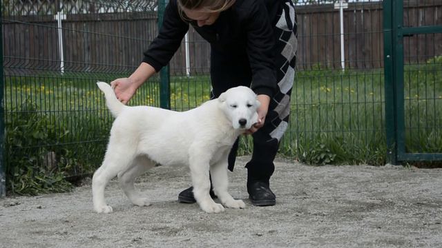 ОЕССЕНН СТИЛЬ Аюташ 3 месяца. ПРОДАЖА смотреть онлайн