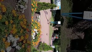 областная больница