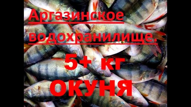 Рыбалка в Челябинской области за последние дни №2.