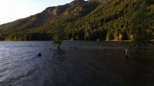Штат Вашингтон с высоты птичьего полёта