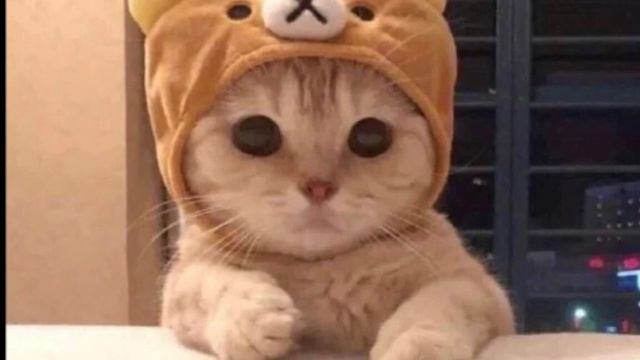 ?✨?Танцуй если знаешь этот тренд??✨ Лучшие Тренды Тиктока 2023 ??Тренды Тик Тока 2023 смотреть онлайн