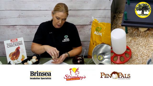 Hatching and Brooding Your Chicks смотреть онлайн