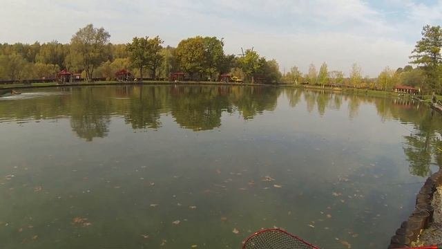 Ловим форель на отгруженную бомбарду и резину