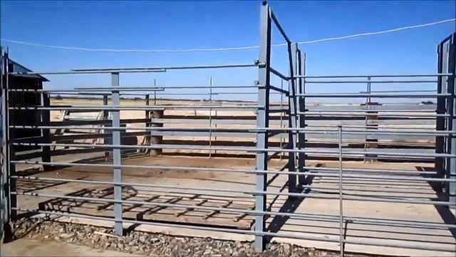 Модульный комплекс по убою КРС и свиней смотреть онлайн