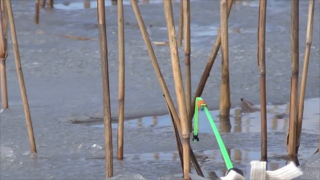 Нестандартный способ зимней рыбалки по плотве! Улов зашкаливает!Это новая крутая снасть! 15 серия смотреть онлайн