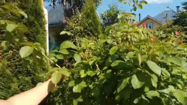 Обзор нашей Дачи!!! смотреть онлайн