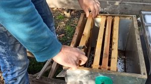 Как объединять пчелиные семьи осенью что бы не подрались