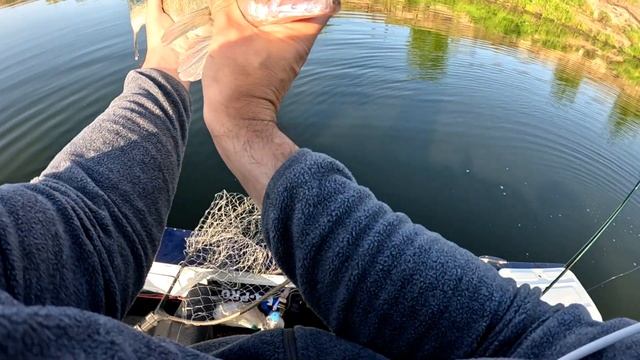 18 Stella 3000MHG тестирование Glitch oil на весах до 22грамм смотреть онлайн