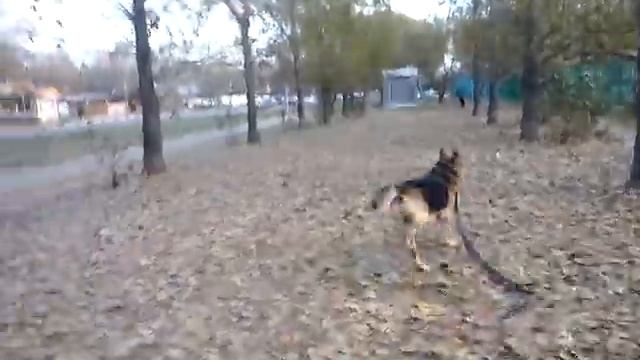 23.10.2014 я - Анна Колесникова, р-н Отрадное, Москва смотреть онлайн