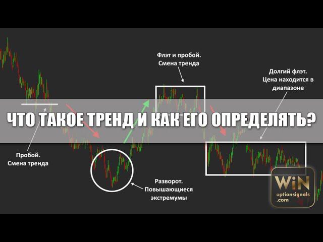Что такое тренд? Лучшие индикаторы для определения тренда