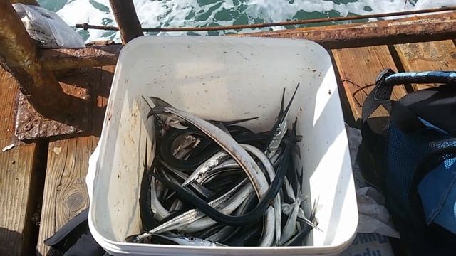 Рыбалка Болгария ?Солнечный Берег Рыба Морская Игла Спиннинг Чёрное море Интервью Болгарские Рыбаки смотреть онлайн