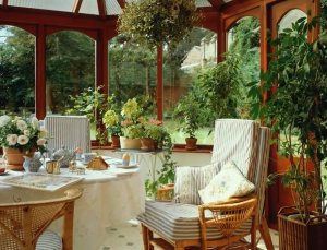 Зелень для оформления интерьера