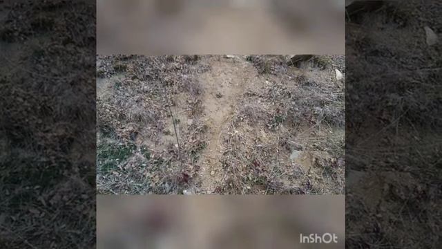 17 февраля 2022 г. Ночные гости пустых жилых комплексов. смотреть онлайн