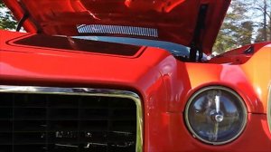 StayblCam - Car Show, iPhone and GoPro video stabilizer (Demo 3)
