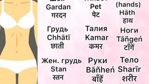 УРОК ХИНДИ /Части тела человека на хинди + тест