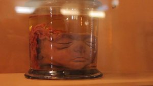 ЭПИЗОД 31. Кунсткамера. Музей антропологии и этнографии.