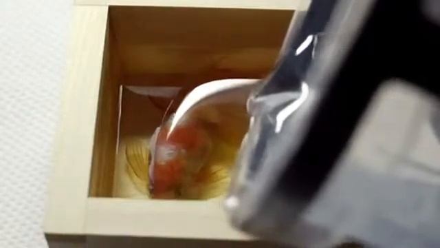 Как сделать 3D Рыбку ! )) смотреть онлайн